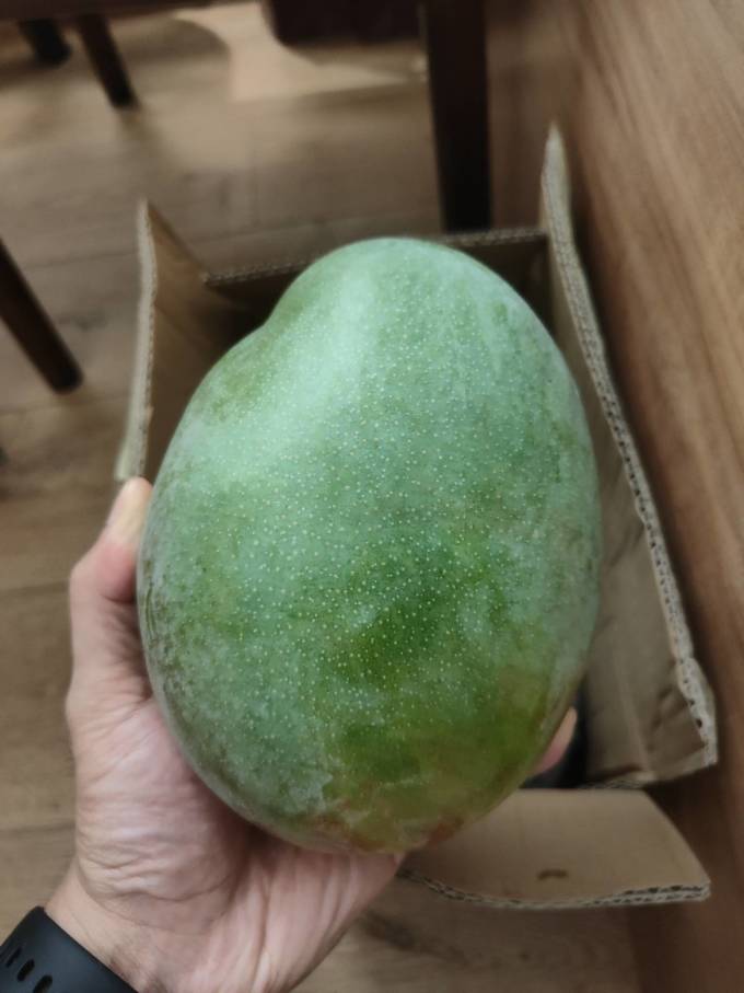 十记庄园芒果