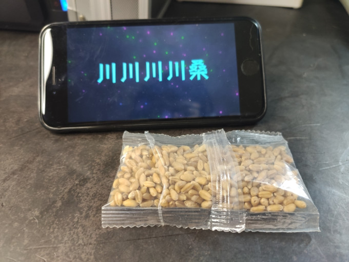喜帅猫粮