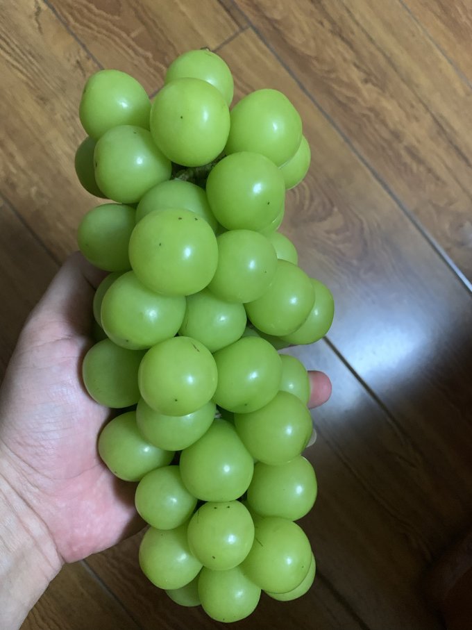飞犇新鲜水果