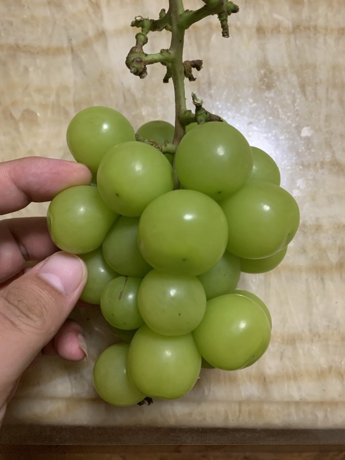飞犇新鲜水果