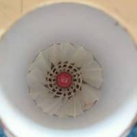 启傲羽毛球