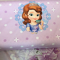 迪士尼公主乳胶枕头