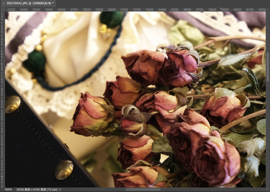 小巧即正义,富士GFX 50S II中画幅相机首发极速上手体验