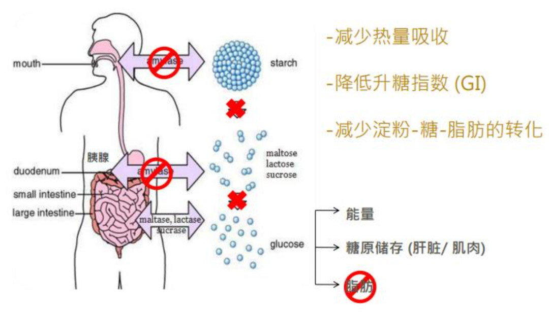 食客：“大餐救星？”“压力灭火器？”，聊聊这些「神器」背后的原理，附3款医学院食品推荐