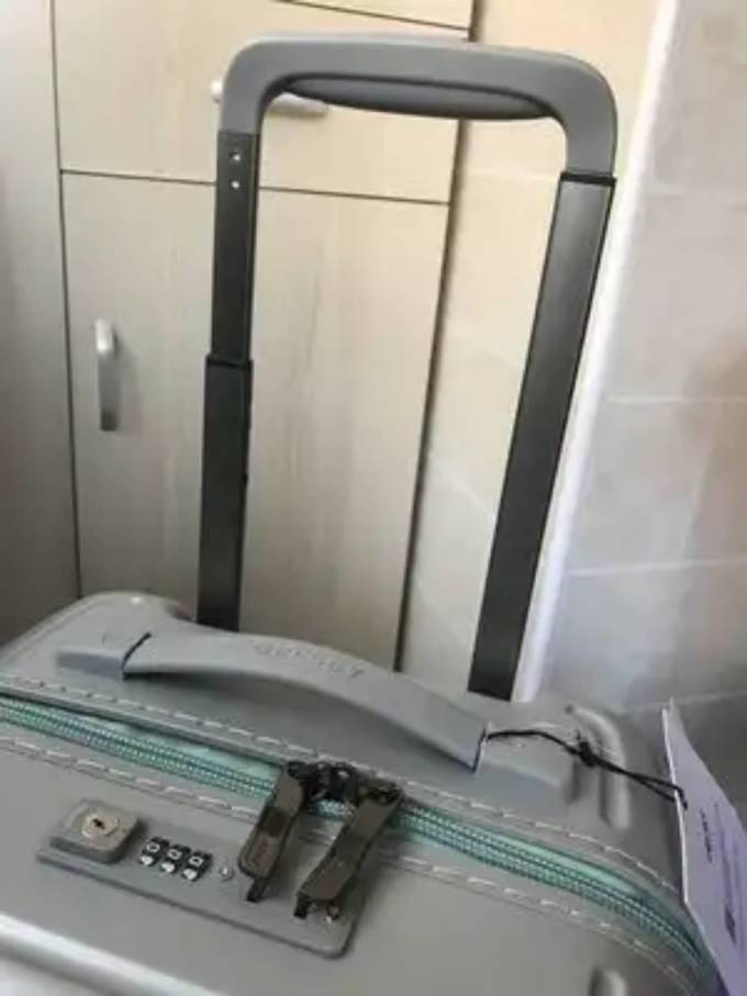 戴乐世拉杆箱