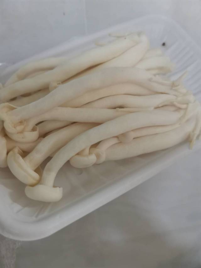 洁白如玉的海鲜菇