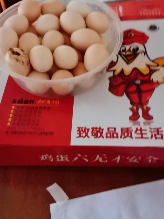 晋龙食品蛋类