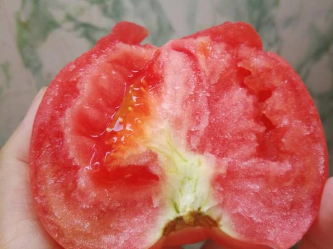 绿养道蔬菜