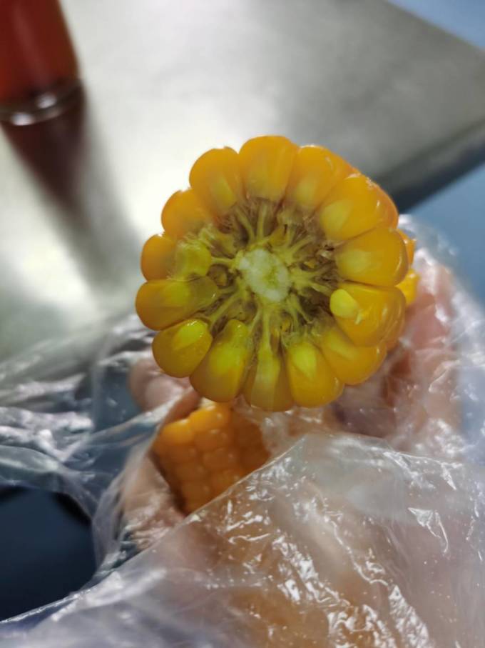 蔬菜