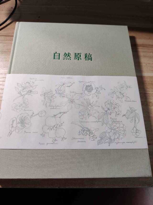 这是笔记本?是的，这是笔记本!