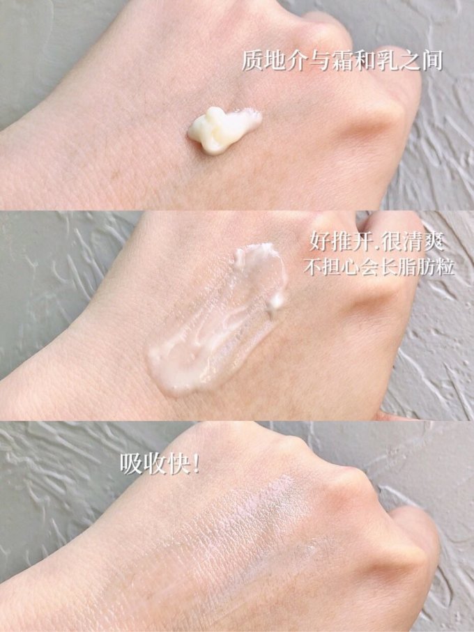 菲洛嘉眼霜