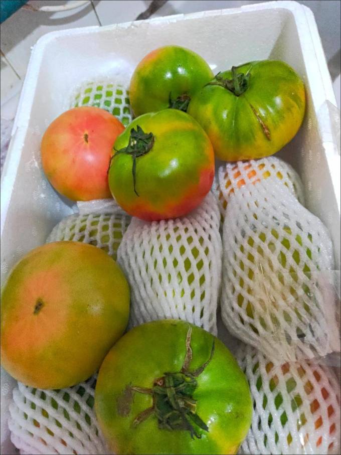 鞍山南果梨蔬菜