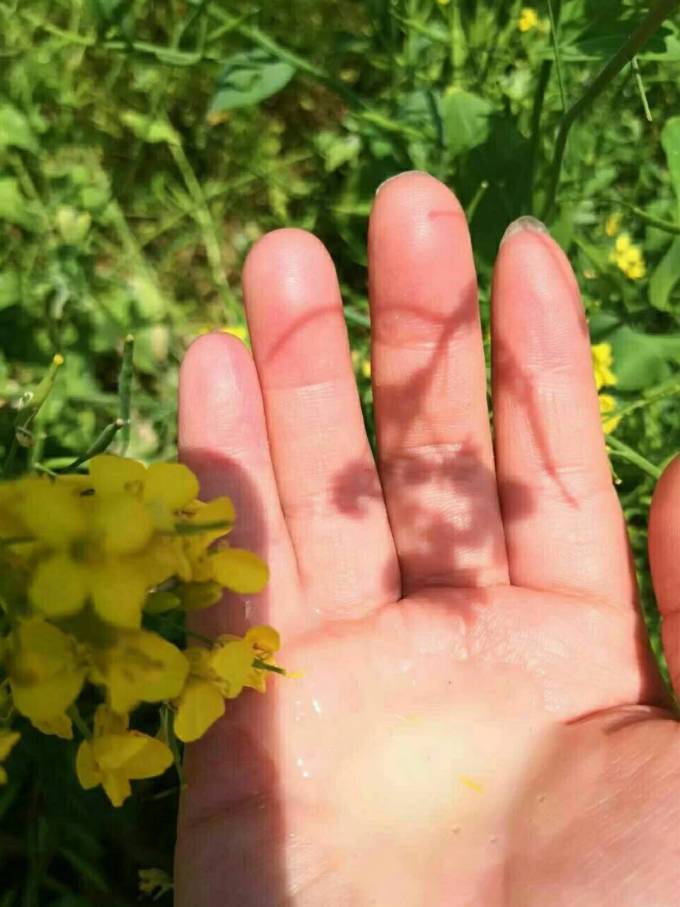 章华汉草洗手液