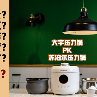 家电白+黑 篇十三：最近大热的大宇电压力锅，与传统压力锅的PK，结果竟然是？