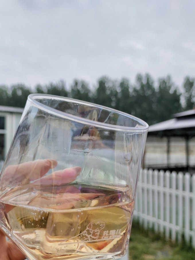 香奈葡萄酒