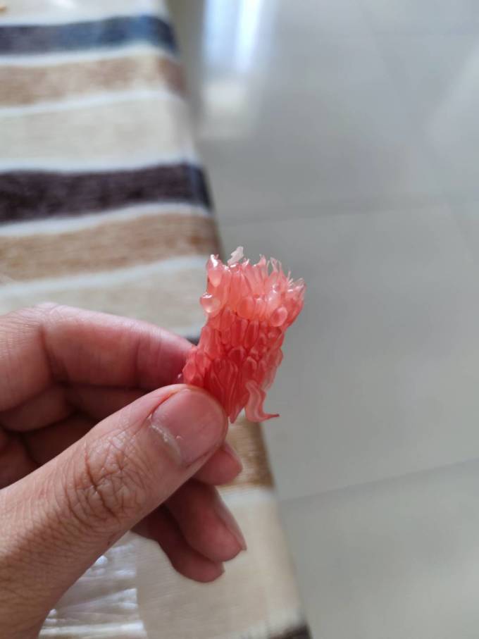 百果精柚子