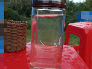 日常使用的扎实单层玻璃杯。