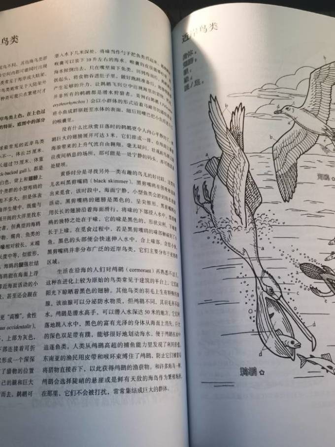 大象出版社科学技术