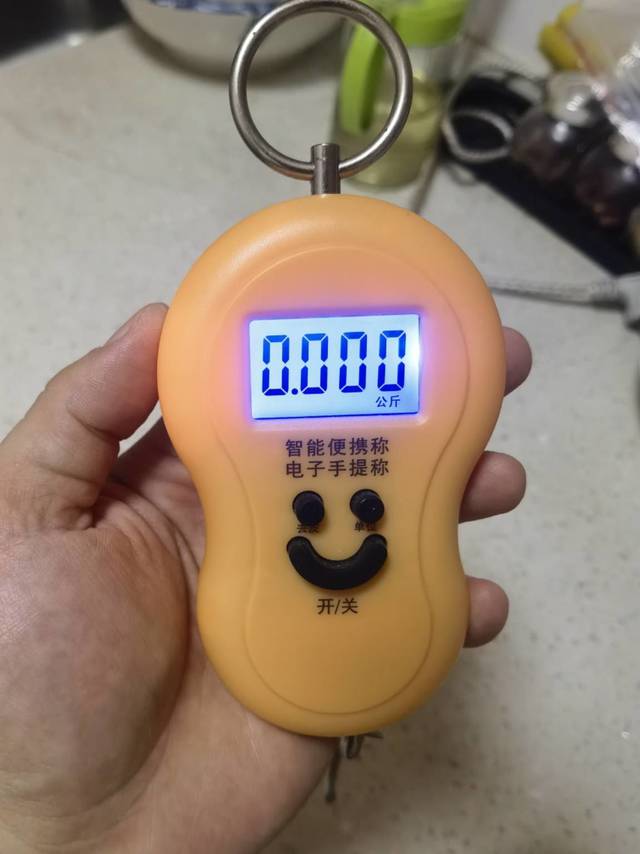 秤菜秤肉秤面粉，我的家用便携厨房挂秤