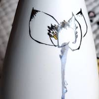 塔牌黄酒，清涟墨菡