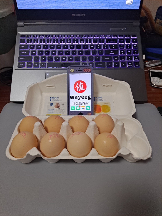 黄天鹅蛋类