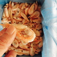 20元一斤的盐冻北极甜虾🦐靠谱吗？