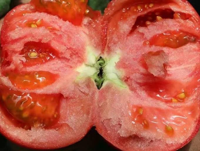 蔬菜