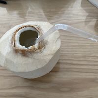 大概8块钱一个的大椰青