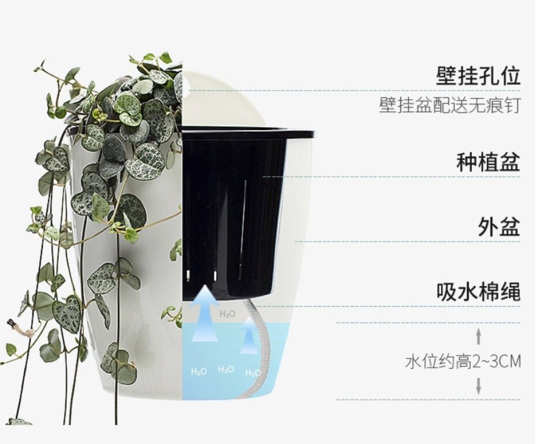 选对卧室植物,营造天然“氧吧”,附省心养护指南~