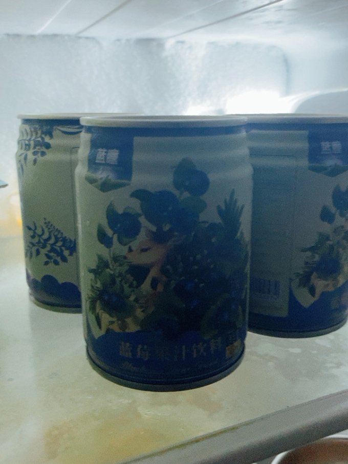 忠芝果汁饮料