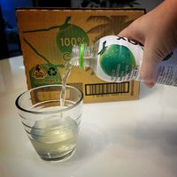 让你拥有一整颗椰子coco max椰子水