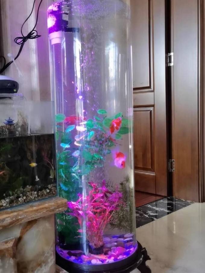鱼缸
