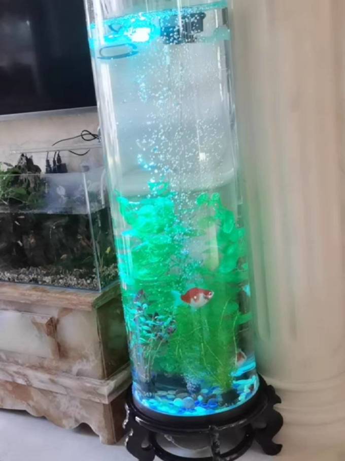 鱼缸