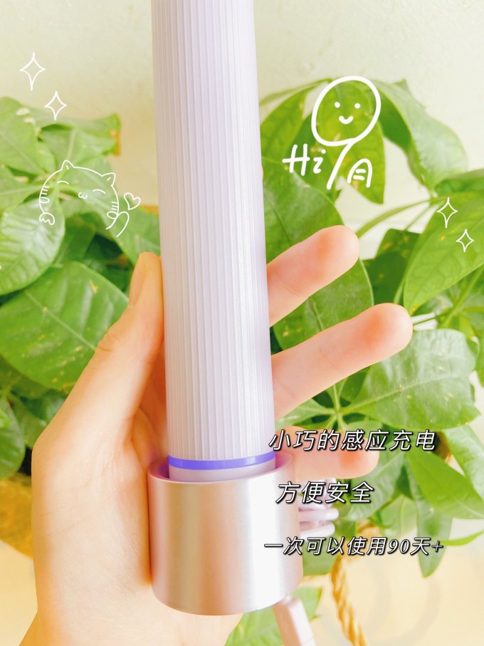 花上电动牙刷
