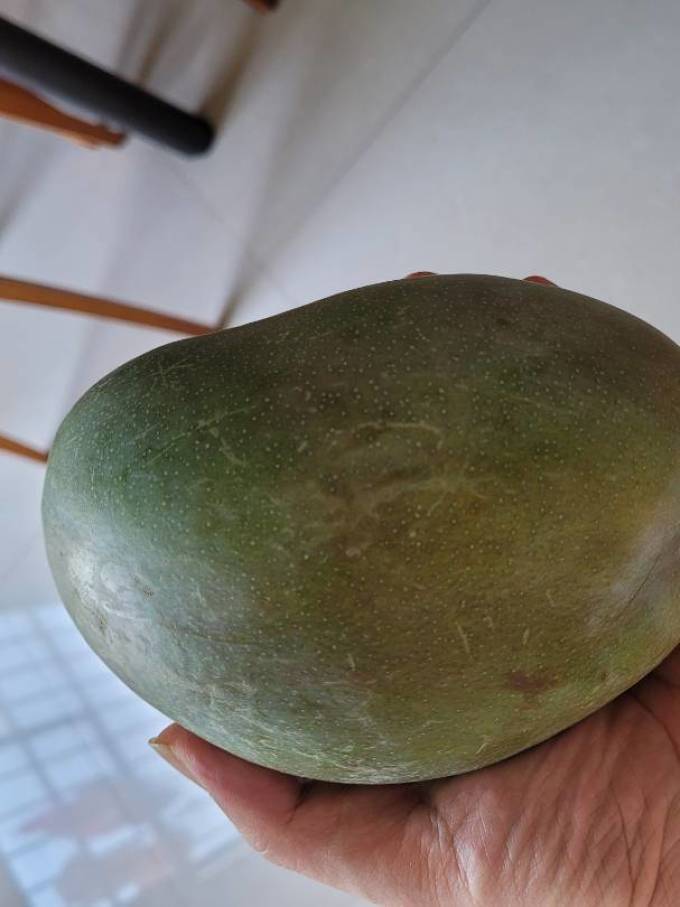 栗品优芒果
