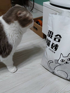 养猫必需品