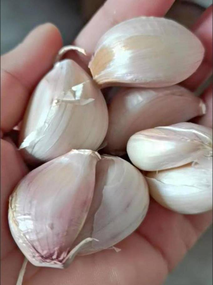 蔬菜