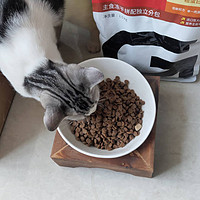 简单的猫粮体验报告