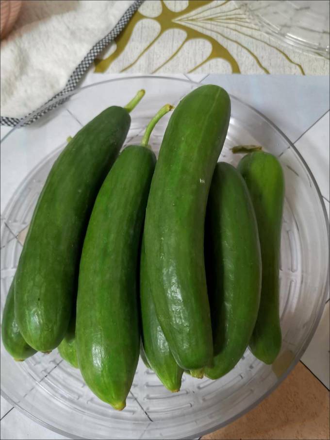 古寨山蔬菜