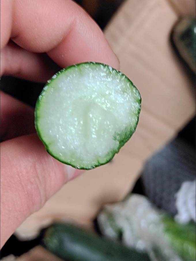 绿鲜知蔬菜