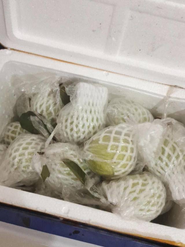番石榴