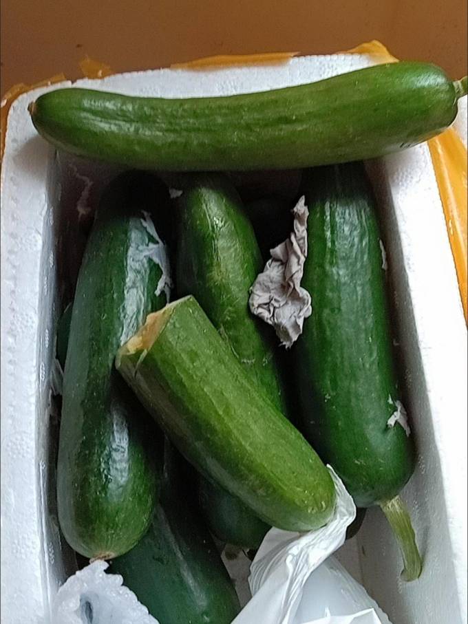 泰和生活蔬菜