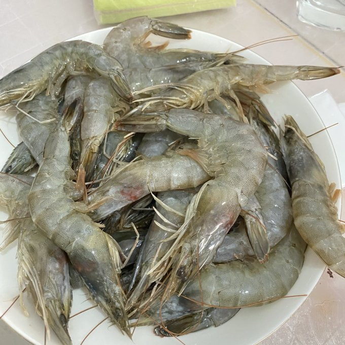 社区首页 食品生鲜 生鲜食品 海鲜水产 晒物详情看图吧,实拍.