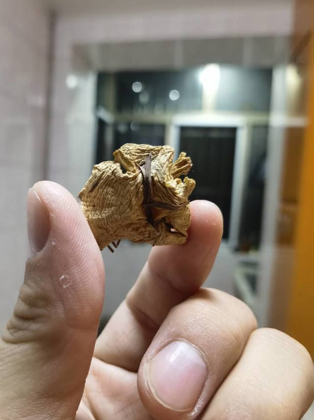 好吃但味道重的松蘑，丈母娘带来媳妇不给吃