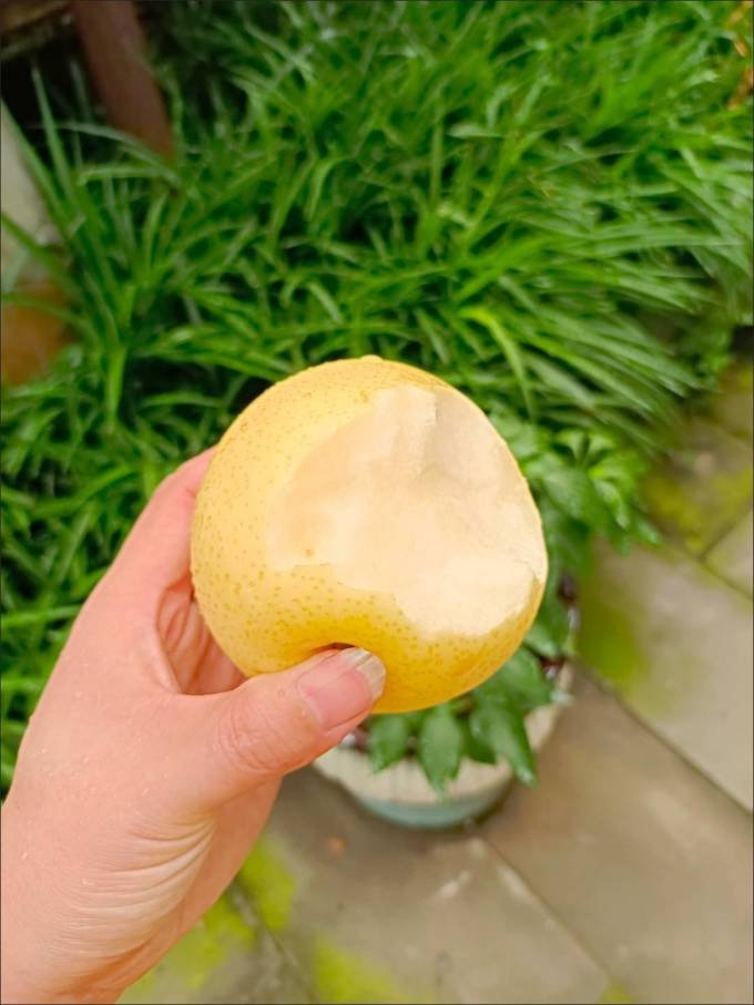 觅星新鲜水果