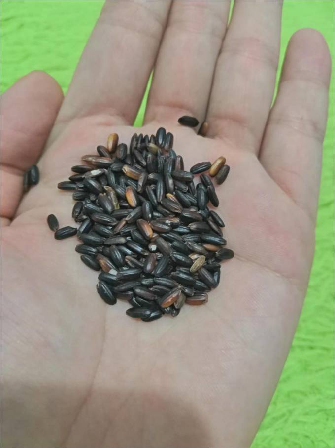 谷物/杂粮/粥米