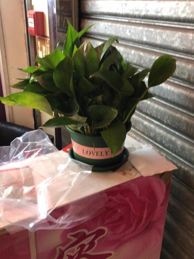 物有所值，值得拥有，非常喜欢💕