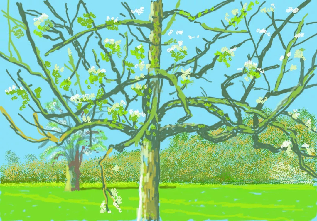 他用iPad，画出春的希望：“英国国宝级艺术家”大卫·霍克尼  | 艺术家