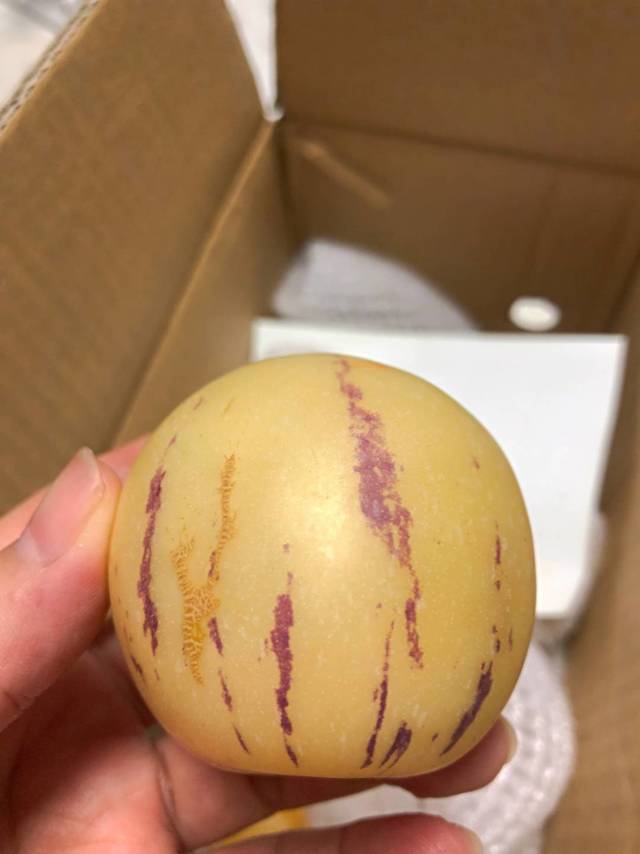 人参果