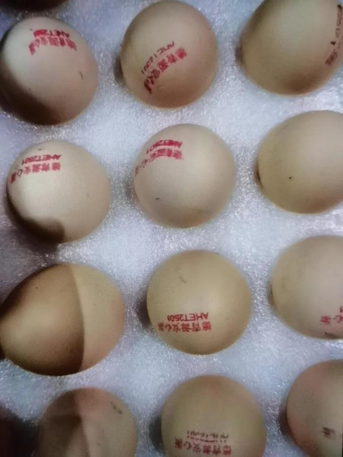 德青源禽蛋肉类